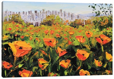 San Francisco Poppies Canvas Art Print - Lisa Elley