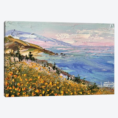 Coastal Dream Big Sur California Canvas Print #LEL666} by Lisa Elley Art Print