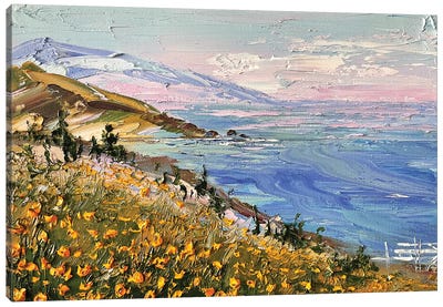 Coastal Dream Big Sur California Canvas Art Print - Big Sur Art