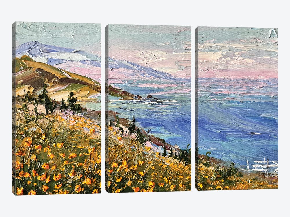 Coastal Dream Big Sur California by Lisa Elley 3-piece Canvas Art Print