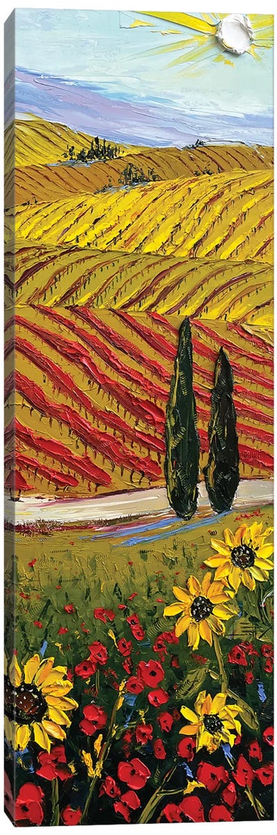 A Wine Country Drive In Napa Valley Canvas Art Print - Sunflower Art