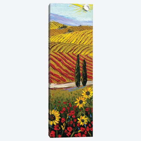 A Wine Country Drive In Napa Valley Canvas Print #LEL669} by Lisa Elley Canvas Artwork