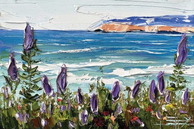 Carmel Beach, Carmel by Lisa Elley canvas print