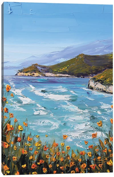 Forever Big Sur Canvas Art Print - Lisa Elley