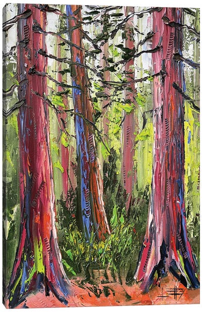 California Redwoods, Giant Sequoia Trees Canvas Art Print - Sequoia Tree Art