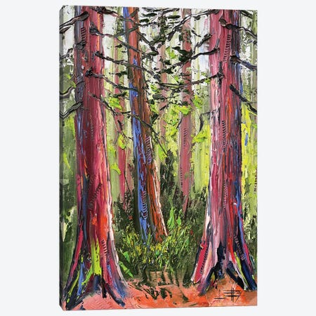 California Redwoods, Giant Sequoia Trees Canvas Print #LEL684} by Lisa Elley Canvas Art Print