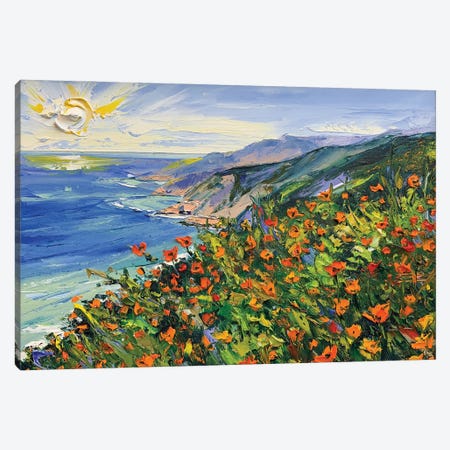 Big Sur Wildflowers Canvas Print #LEL691} by Lisa Elley Canvas Print