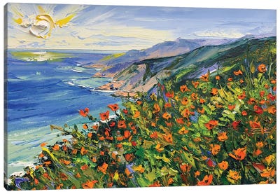 Big Sur Wildflowers Canvas Art Print - Lisa Elley