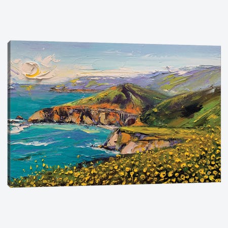 Andrew Molera State Park, Big Sur California Canvas Print #LEL692} by Lisa Elley Canvas Print