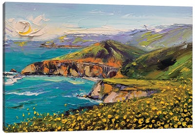 Andrew Molera State Park, Big Sur California Canvas Art Print - Big Sur Art