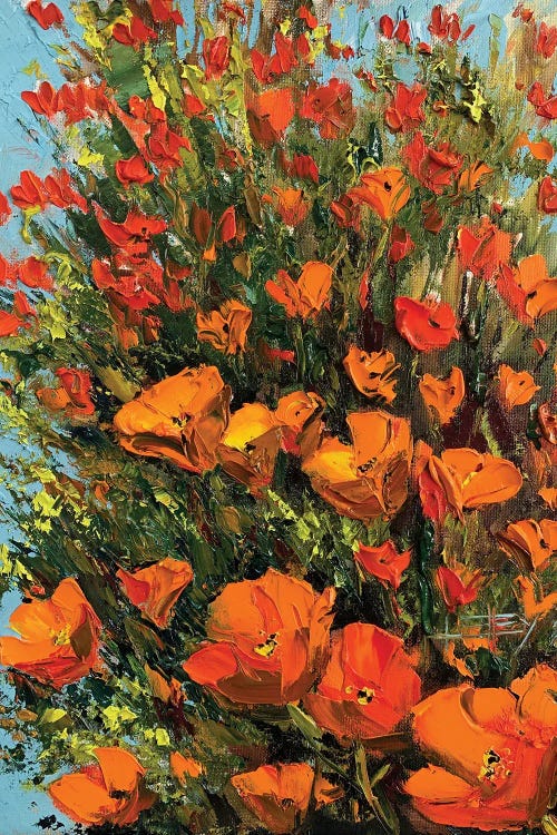 California Poppies II