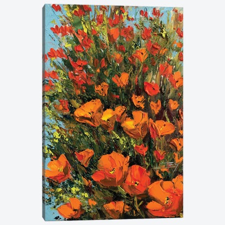 California Poppies II Canvas Print #LEL694} by Lisa Elley Canvas Artwork
