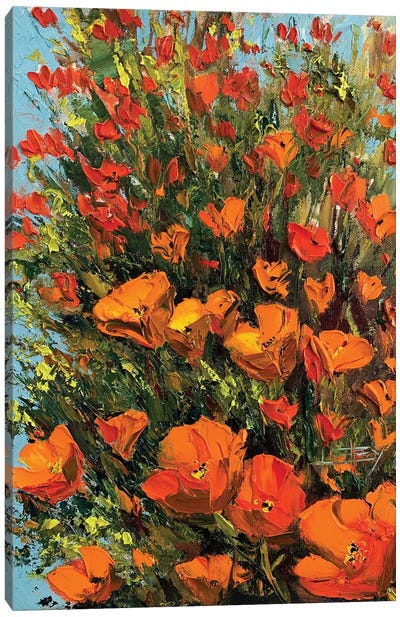 California Poppies II Canvas Art Print - Lisa Elley