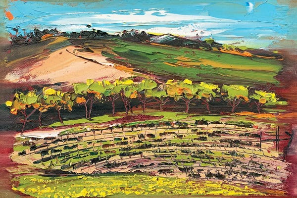 Vineyards: Bay Area Vines II by Lisa Elley