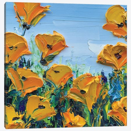 Sheer Joy California Poppies Canvas Print #LEL701} by Lisa Elley Canvas Print
