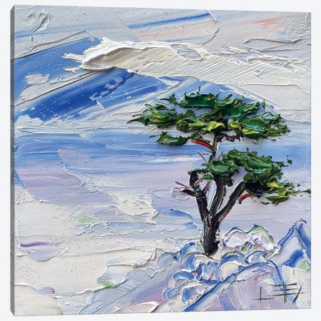 Lone Cypress Canvas Print #LEL702} by Lisa Elley Canvas Print