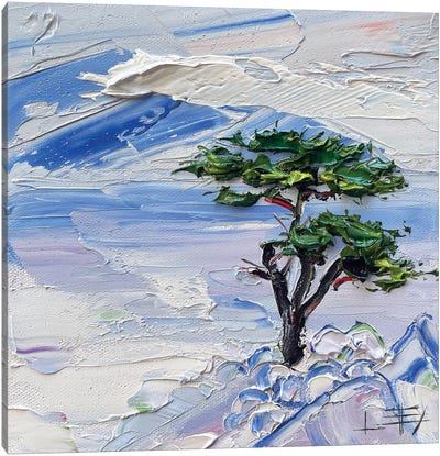 Lone Cypress Canvas Art Print - Cypress Tree Art