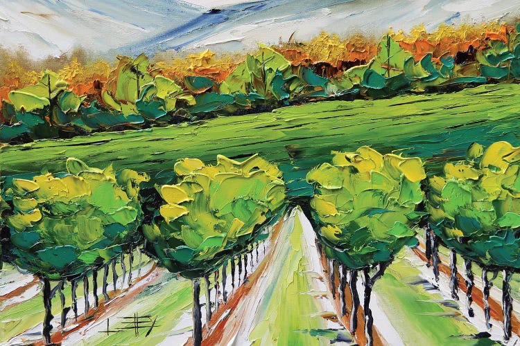Napa Valley Vineyard