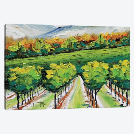 Napa Valley Vineyard Canvas Print #LEL708} by Lisa Elley Canvas Print