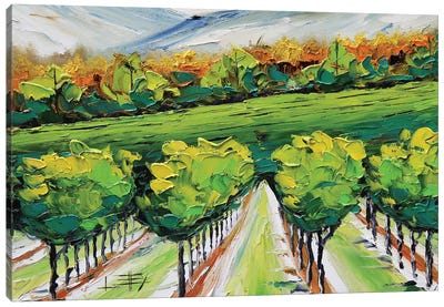 Napa Valley Vineyard Canvas Art Print - Vineyard Art