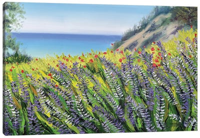 The Story Of Big Sur Canvas Art Print - Big Sur Art