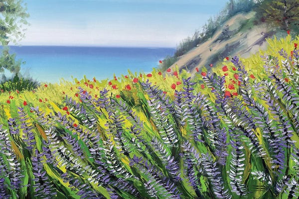 Big Sur: The Story Of Big Sur by Lisa Elley