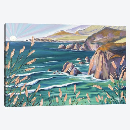 Tourmaline Tide In Big Sur Canvas Print #LEL718} by Lisa Elley Canvas Artwork