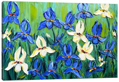 Enlightened Dream Irises Canvas Art Print - Artists Like Van Gogh