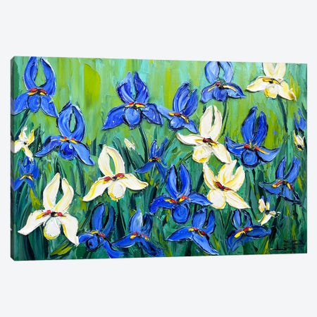 Enlightened Dream Irises Canvas Print #LEL728} by Lisa Elley Canvas Art Print