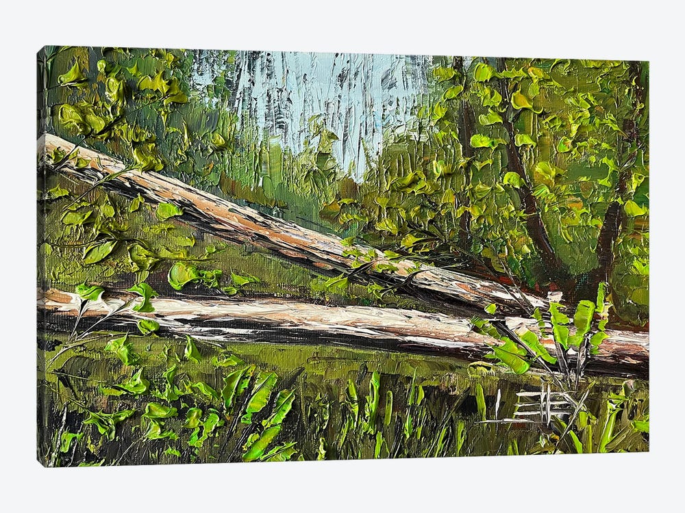 California Redwoods, Humboldt State Park by Lisa Elley 1-piece Canvas Print