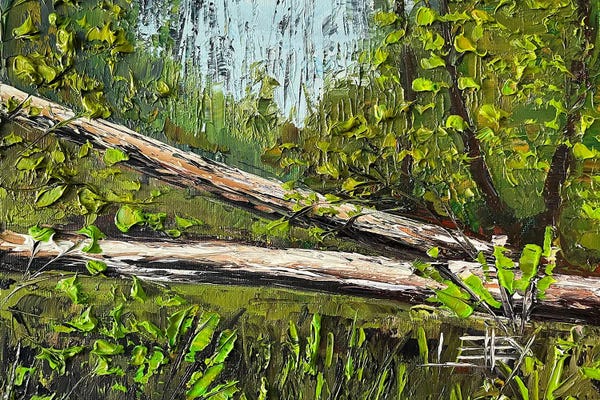 Lisa Elley: California Redwoods, Humboldt State Park by Lisa Elley