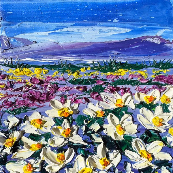 Lisa Elley: Desert Superbloom by Lisa Elley