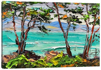 Monterey Bay Magic Canvas Art Print - Lisa Elley