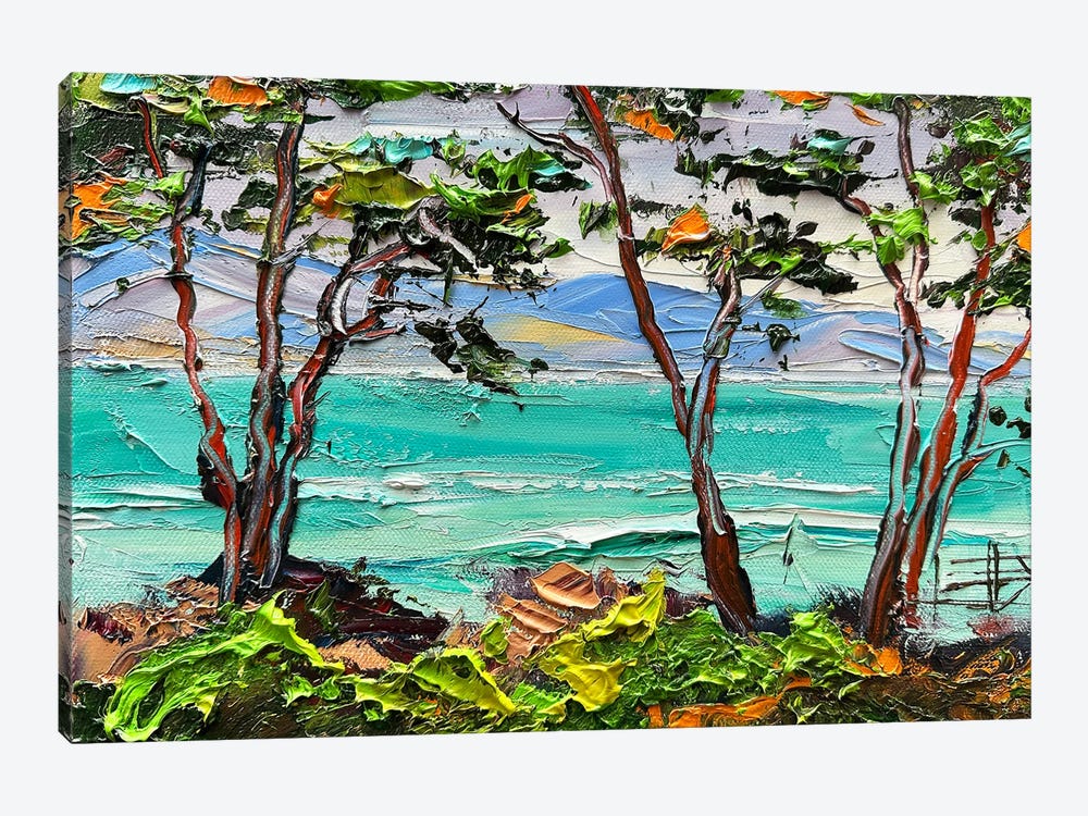 Monterey Bay Magic by Lisa Elley 1-piece Canvas Artwork