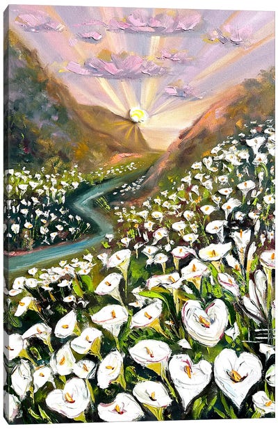 Cala Lily Valley Canvas Art Print - Big Sur Art