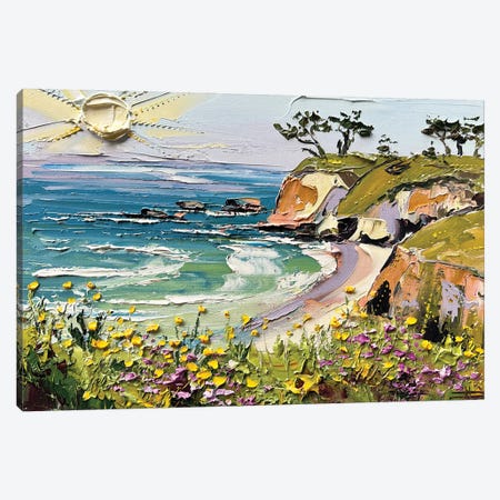California Calm - Davenport Beach Canvas Print #LEL755} by Lisa Elley Canvas Print
