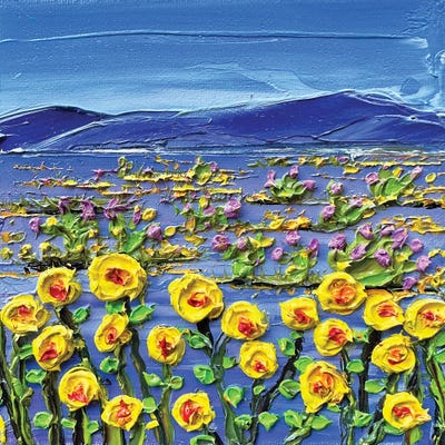 Anza Borrego Desert San Diego California by Lisa Elley canvas print