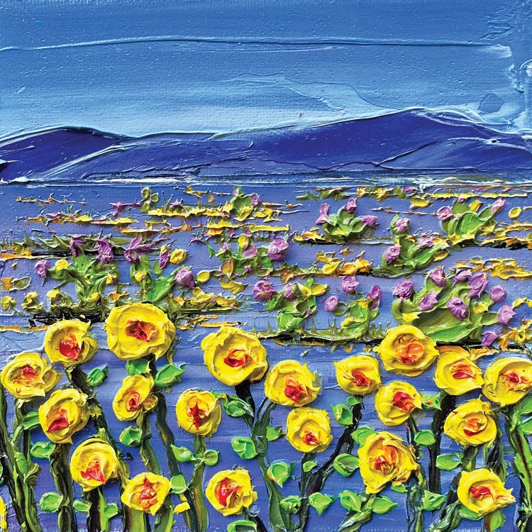 Anza Borrego Desert San Diego California by Lisa Elley wall art