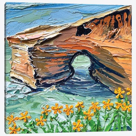 Sunset Cliffs Wave Cave San Diego Canvas Print #LEL764} by Lisa Elley Canvas Wall Art