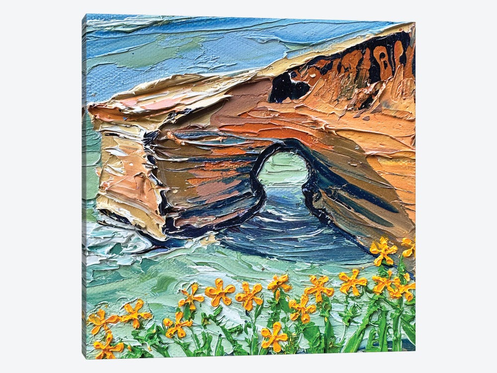 Sunset Cliffs Wave Cave San Diego by Lisa Elley 1-piece Canvas Art