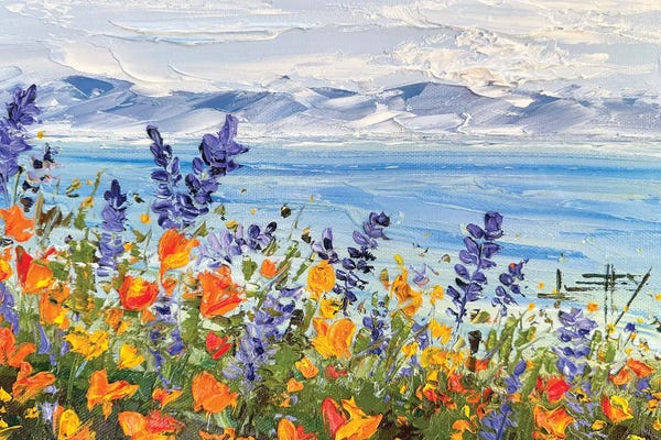 Superbloom Coast