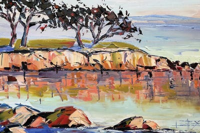 Turning Of The Tide by Lisa Elley art print