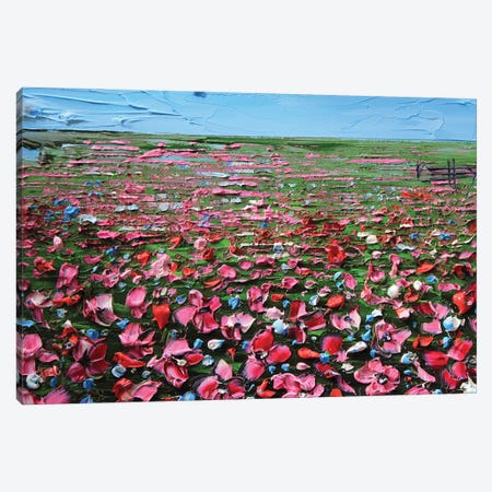 Field Of Flowers Canvas Print #LEL773} by Lisa Elley Canvas Artwork