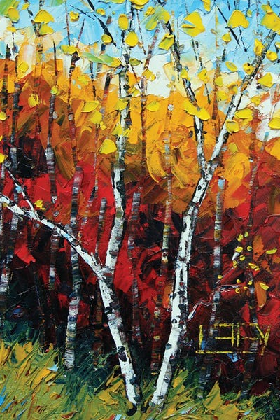 Birch Tree Fall by Lisa Elley canvas print
