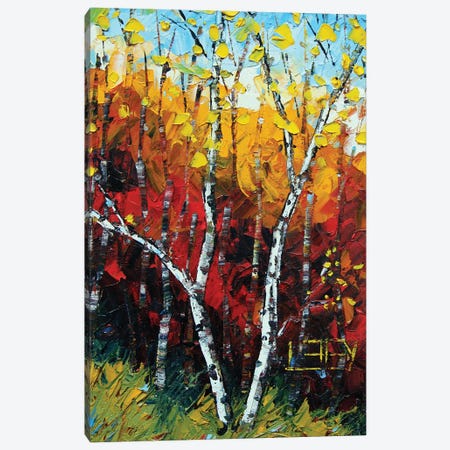 Birch Tree Fall Canvas Print #LEL782} by Lisa Elley Canvas Art Print