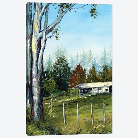 Farm In New Zealand With Eucalyptus Trees Canvas Print #LEL784} by Lisa Elley Canvas Wall Art