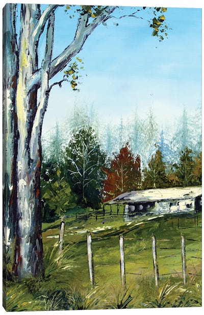 Farm In New Zealand With Eucalyptus Trees Canvas Art Print - Eucalyptus Art