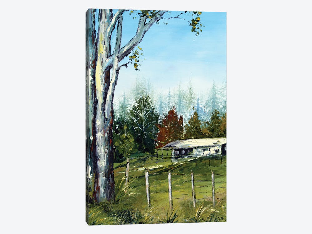 Farm In New Zealand With Eucalyptus Trees by Lisa Elley 1-piece Canvas Wall Art