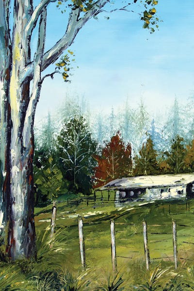 Eucalyptus: Farm In New Zealand With Eucalyptus Trees by Lisa Elley