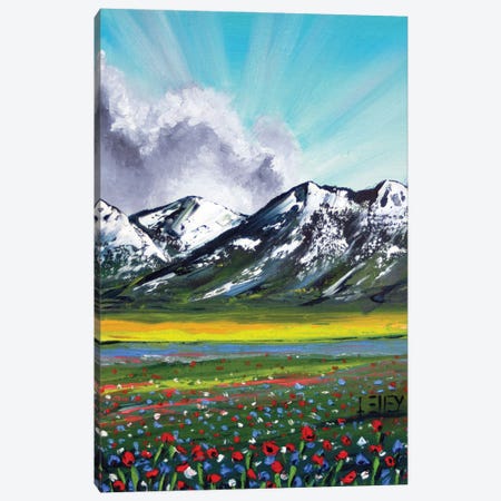 Mountain Wildflowers Canvas Print #LEL797} by Lisa Elley Art Print